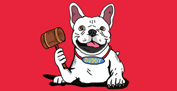 buddy the bulldog